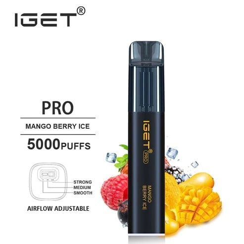 IGET Pro (5000 Puffs)