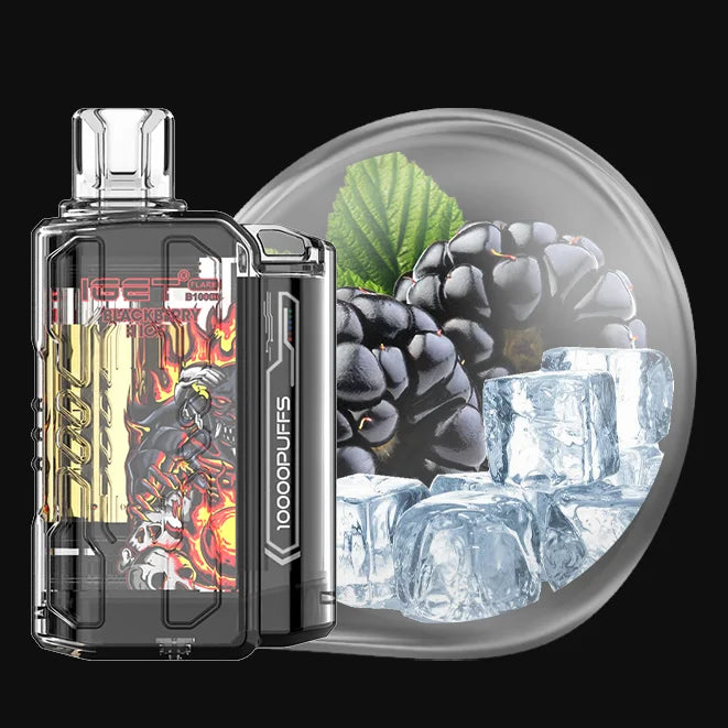 IGET Flare Vape (10000 Puffs)