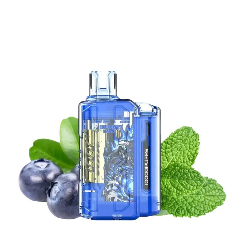 IGET Flare Vape (10000 Puffs)